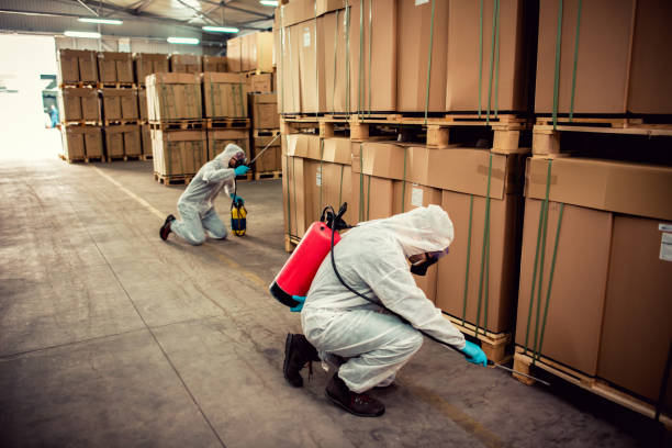 Best Affordable Pest Control Services  in Manchester, TN