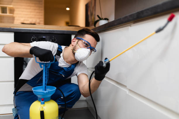 Best Exterminator Services  in Manchester, TN