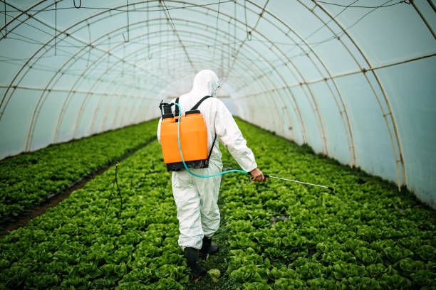 Best Pest Removal Services  in Manchester, TN