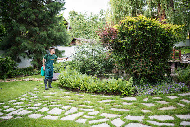 Best Wasp Removal Services  in Manchester, TN