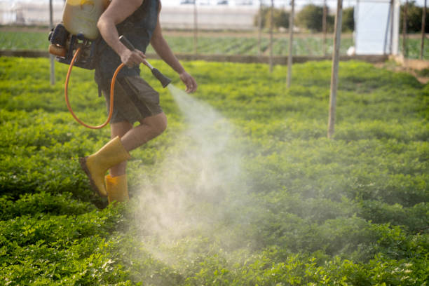 Best Affordable Pest Control Services  in Manchester, TN