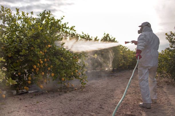 Best Residential Pest Control  in Manchester, TN