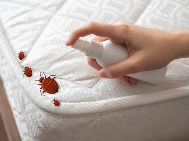 Pest Prevention Services in Manchester, TN